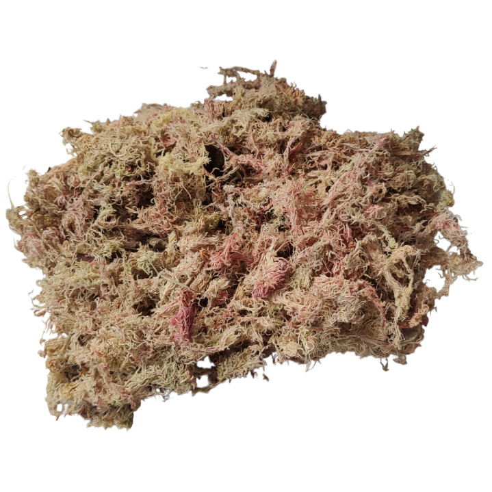 3 Litros Musgo Esfagno Substrato Orquídeas Sphagnum Kokedama