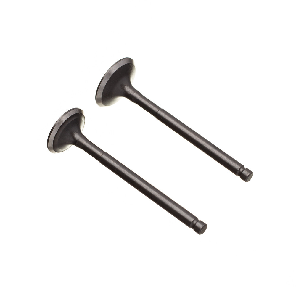 Valvula Adm/esc. (par) Ww3 Biz 125 em Oferta na Shopee