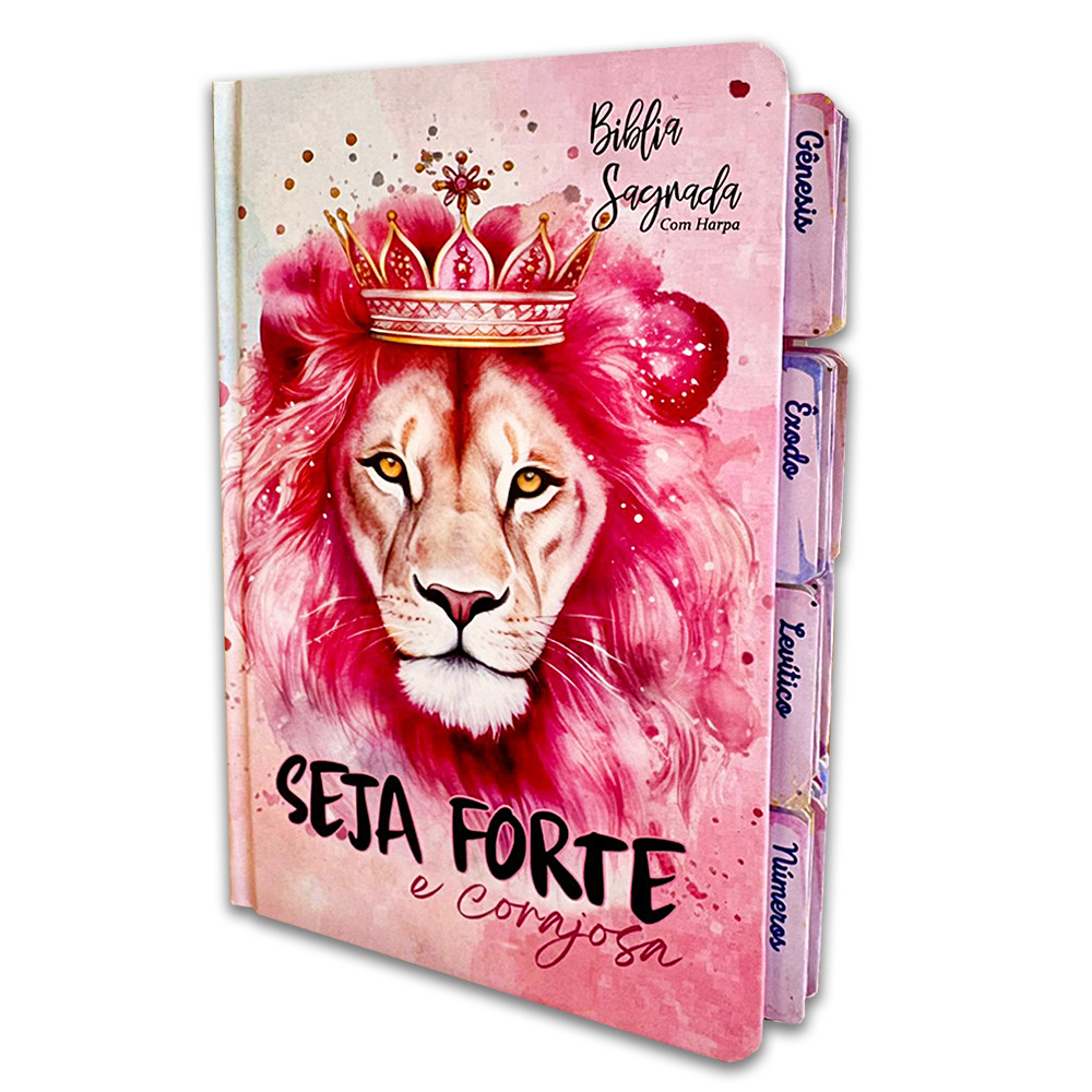 O que é Biblias Evangélicas Femininas? Guia e Onde Comprar | BuscaProdutos