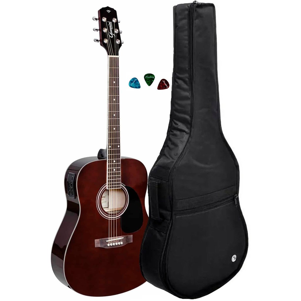 Violão Elétrico Folk Giannini Aço Gd-1 Tdw Com Capa Luxo