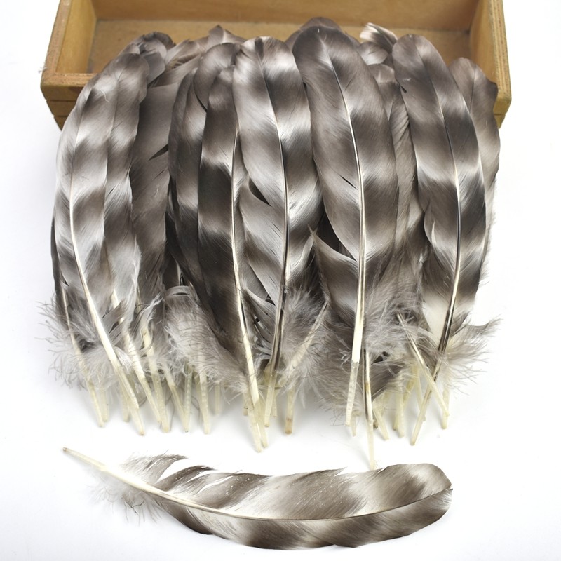 20 Pçs/Lote Penas De Faisão Natural Para Fazer Jóias Decoração Listra Frango Artesanato 15-20cm 6-8 Polegadas Decorações