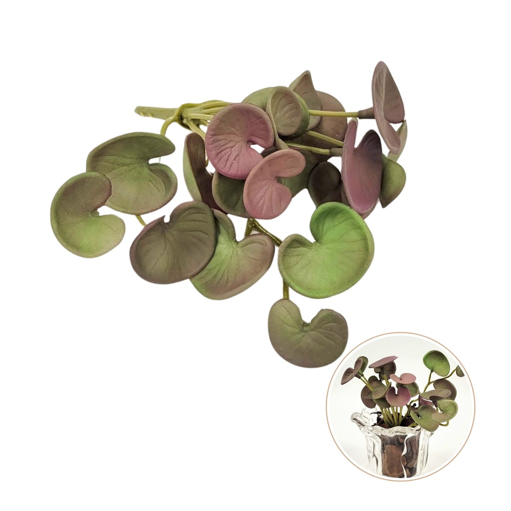 Suculenta Peperomia Roxa 13cm Folhagem Artificial