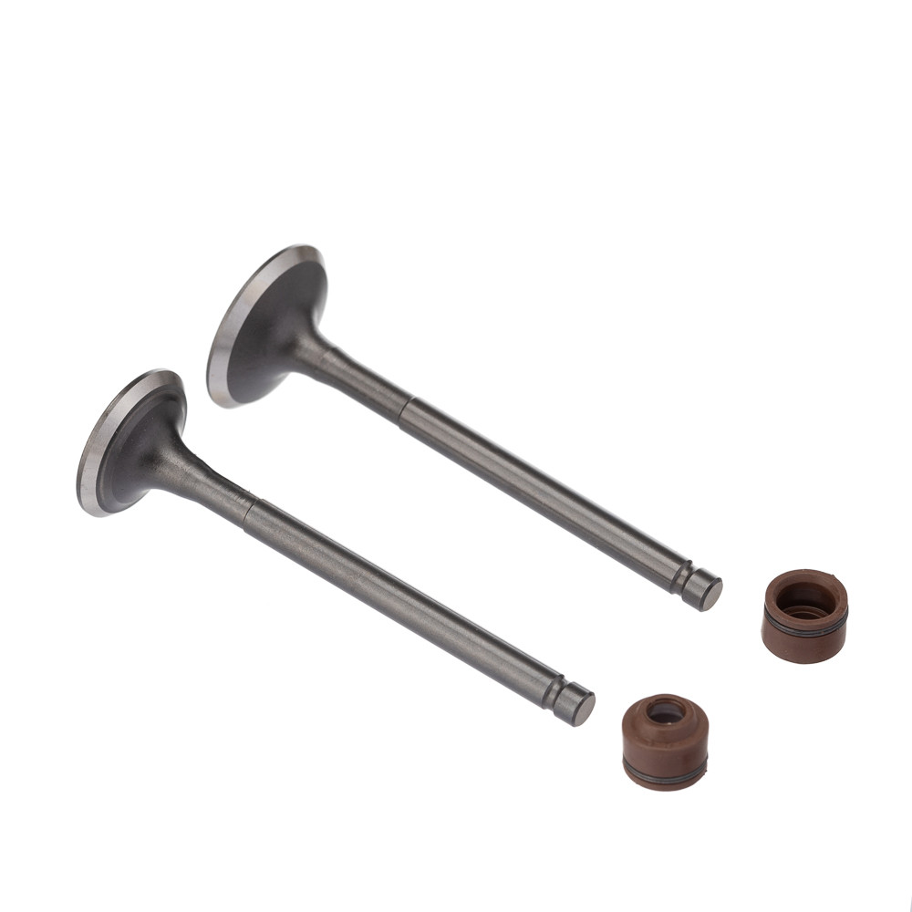 Valvula E Retentor Kit (4pcs) Ww3 Biz 125 05/ Ret. Marrom [F016] em Oferta na Shopee