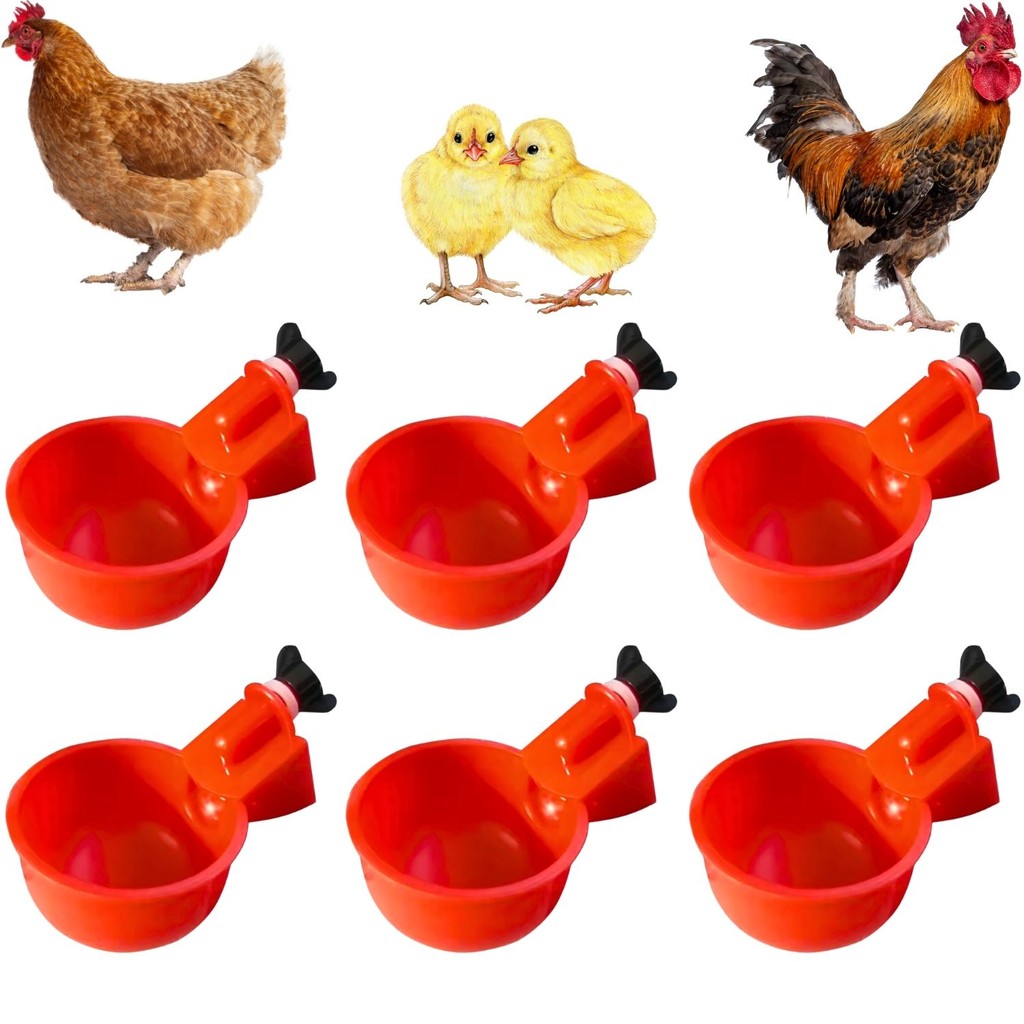 Kit 6 Bebedouro Automático Copinho para Aves Galinha Fazenda Gaiola Copo Bebedor em Oferta na Shopee