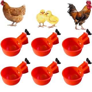 Kit 6 Bebedouro Automático Copinho para Aves Galinha Fazenda Gaiola Copo Bebedor em Oferta na Shopee