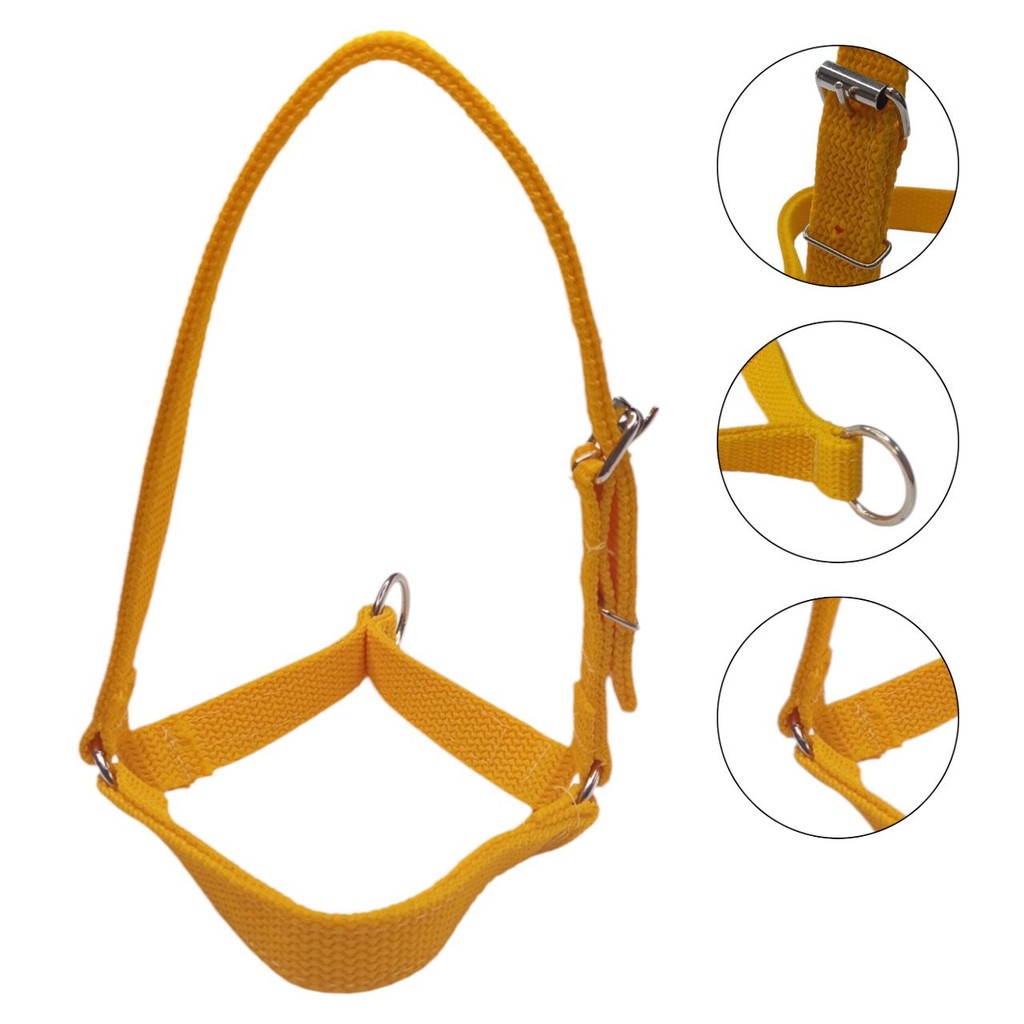 Cabresto De Bode cabra Ovinos Caprinos Ovelha Nylon