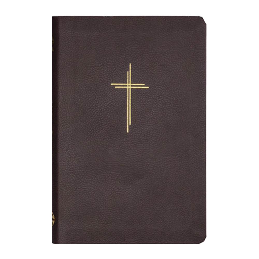 Bíblia Sagrada Slim Livres | NAA | Capa Vinho em Oferta na Shopee