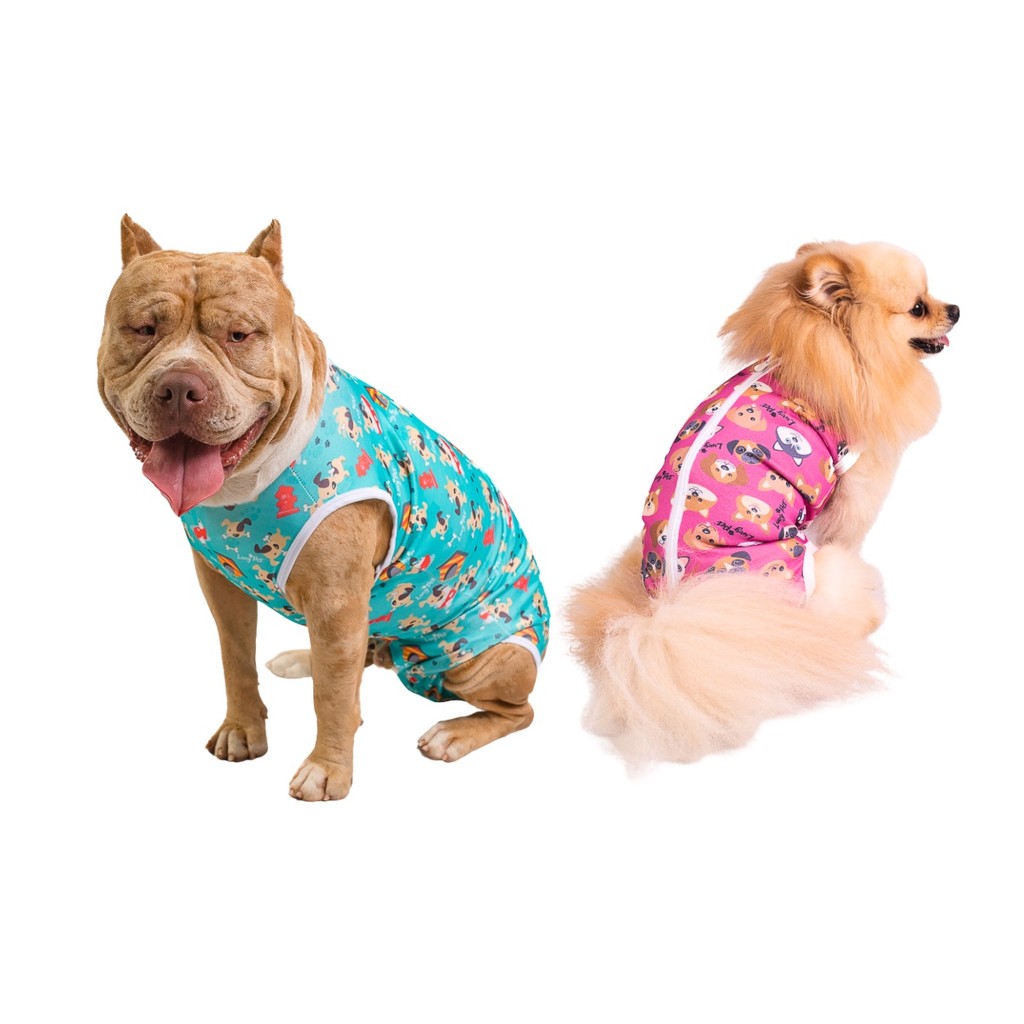 Roupa de Cachorro Pós Cirúrgica - Pequenos Defeitos em Oferta na Shopee