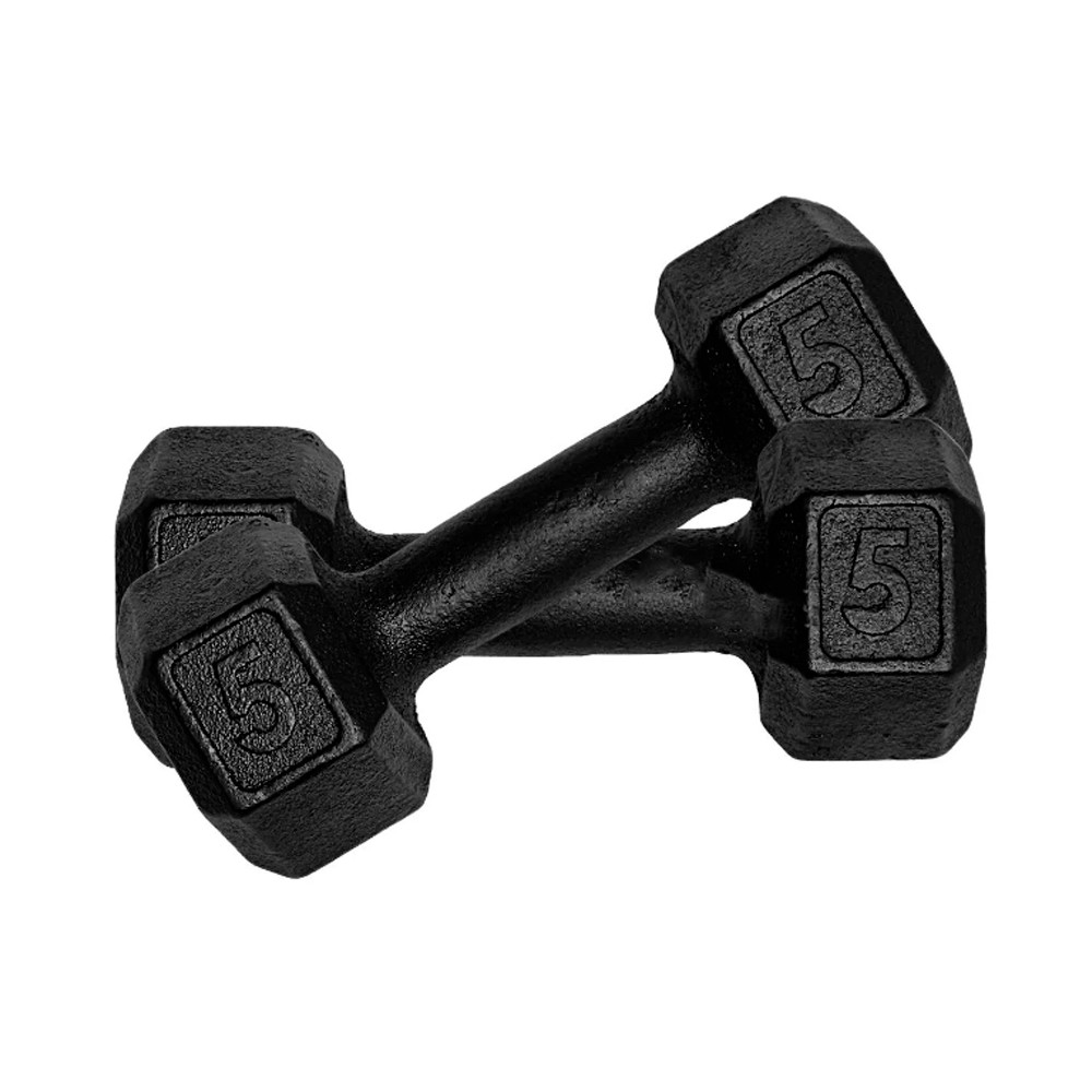 Par Halter Sextavado Pintado 5kg Academia Treino Ferro