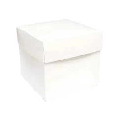 Caixa Cubo Para Presente Branco Mini PP - 10 unidades - Assk - Rizzo