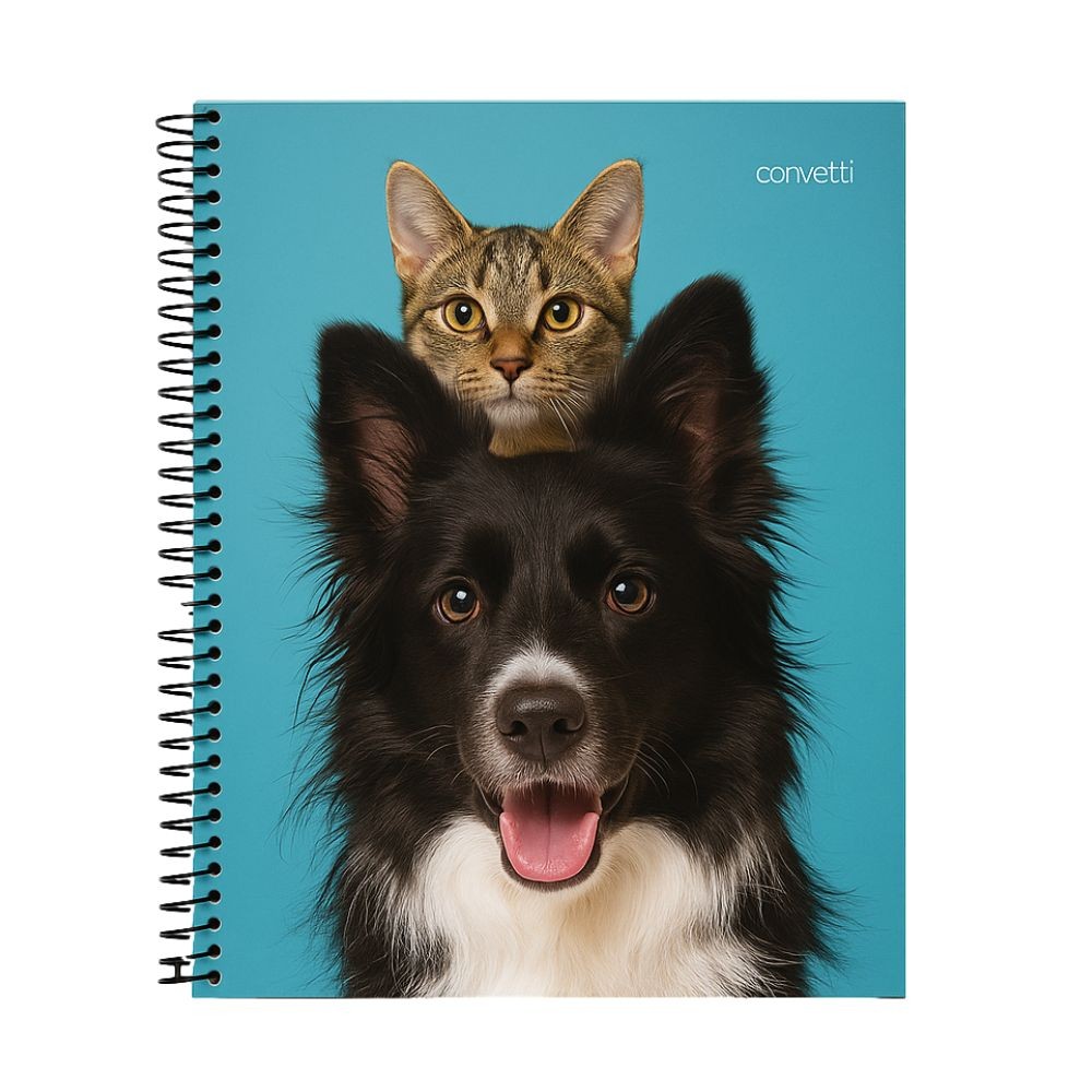 1/2/3/4 Cadernos 10 Matéria 160fls Universitário Confetti Modelos Sortidos