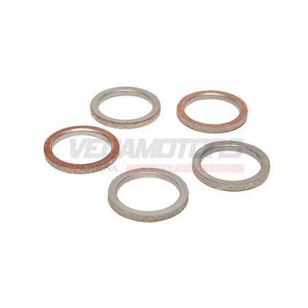 Anel Escape Biz-100/125/dream/crypton/virago-250 (vedamotors-ve05009000108)