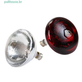 Lâmpada De Aquecimento PULLHOUSE 100/150/200/250W Para Aves , Preservação De Calor De Trado De Animais De Estimação Ampl