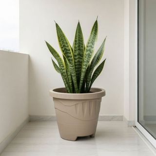 Kit 6 Vaso Redondo G 9L Preto Terracota Café Areia Para Plantas Jardim Decorativo Resistente Multiuso Casa Exterior