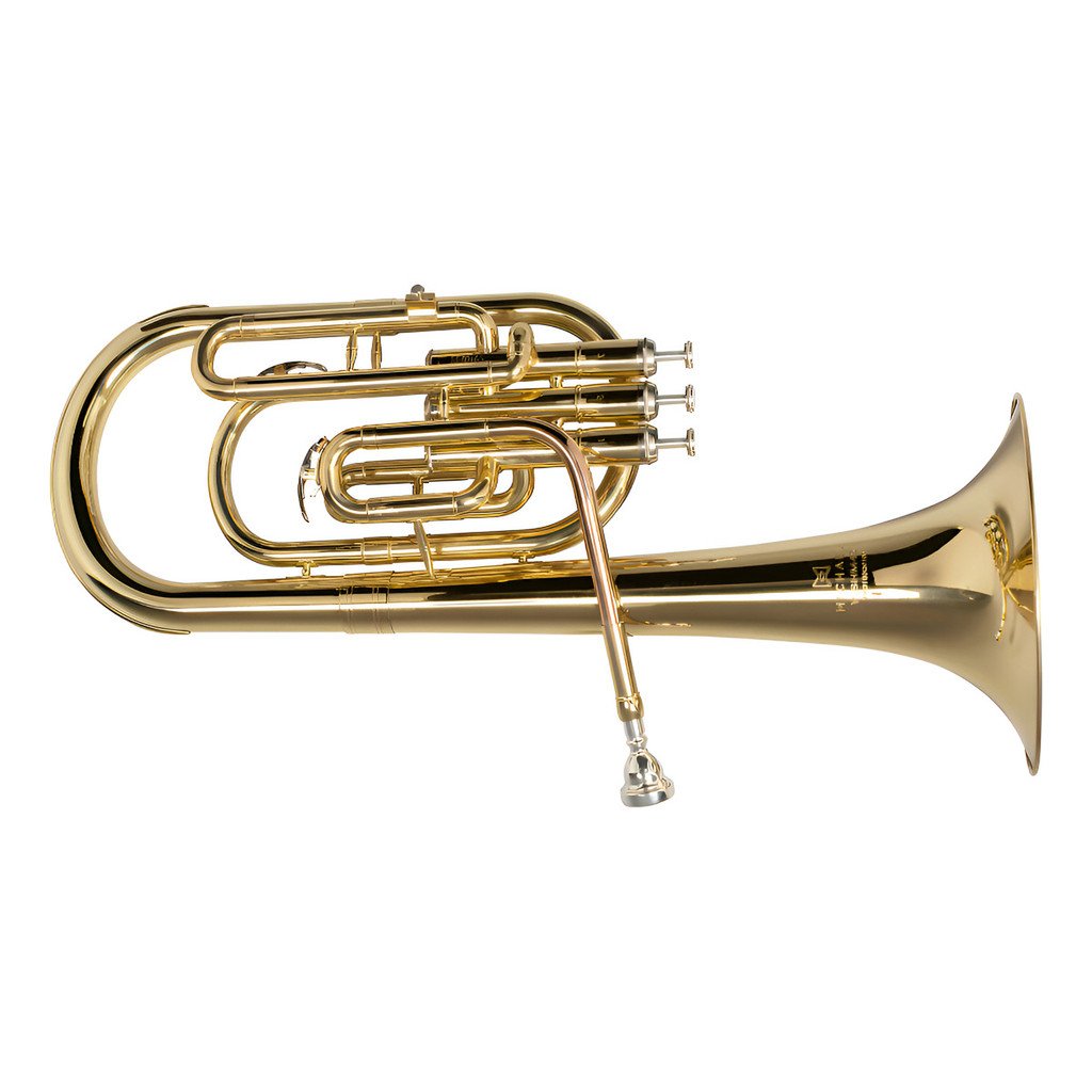 SAXHORN MICHAEL WSHM35N Mib Novo