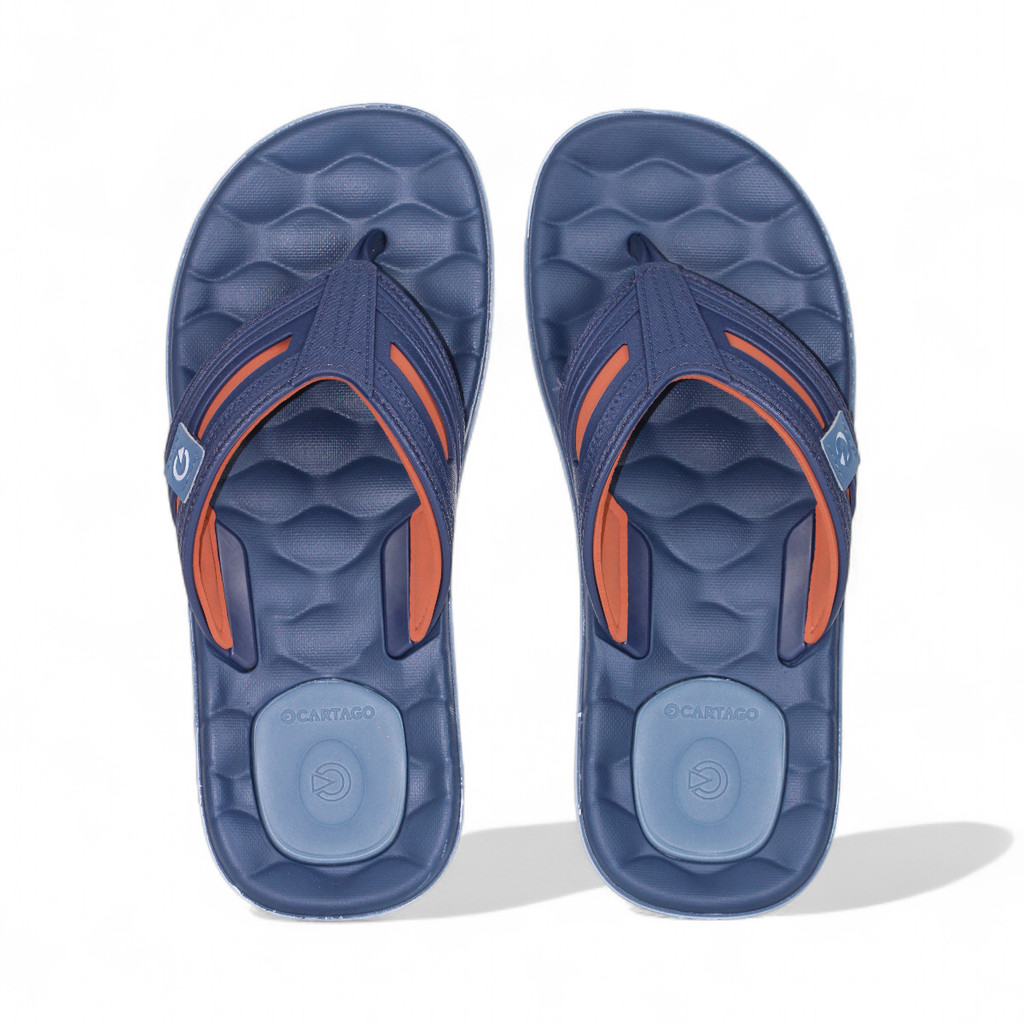 Chinelo Cartago Egeu IV Azul e Marrom - Masculino