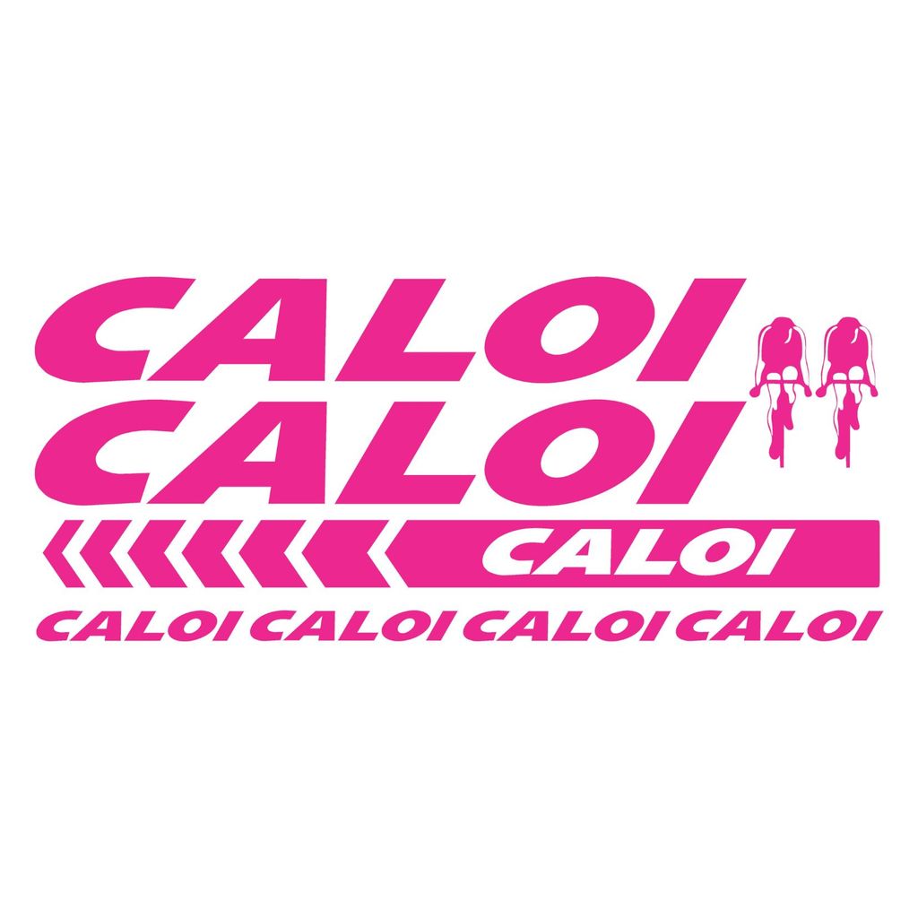 Adesivo de Quadro Caloi Rosa Bicicleta Mountain Bike Plotter
