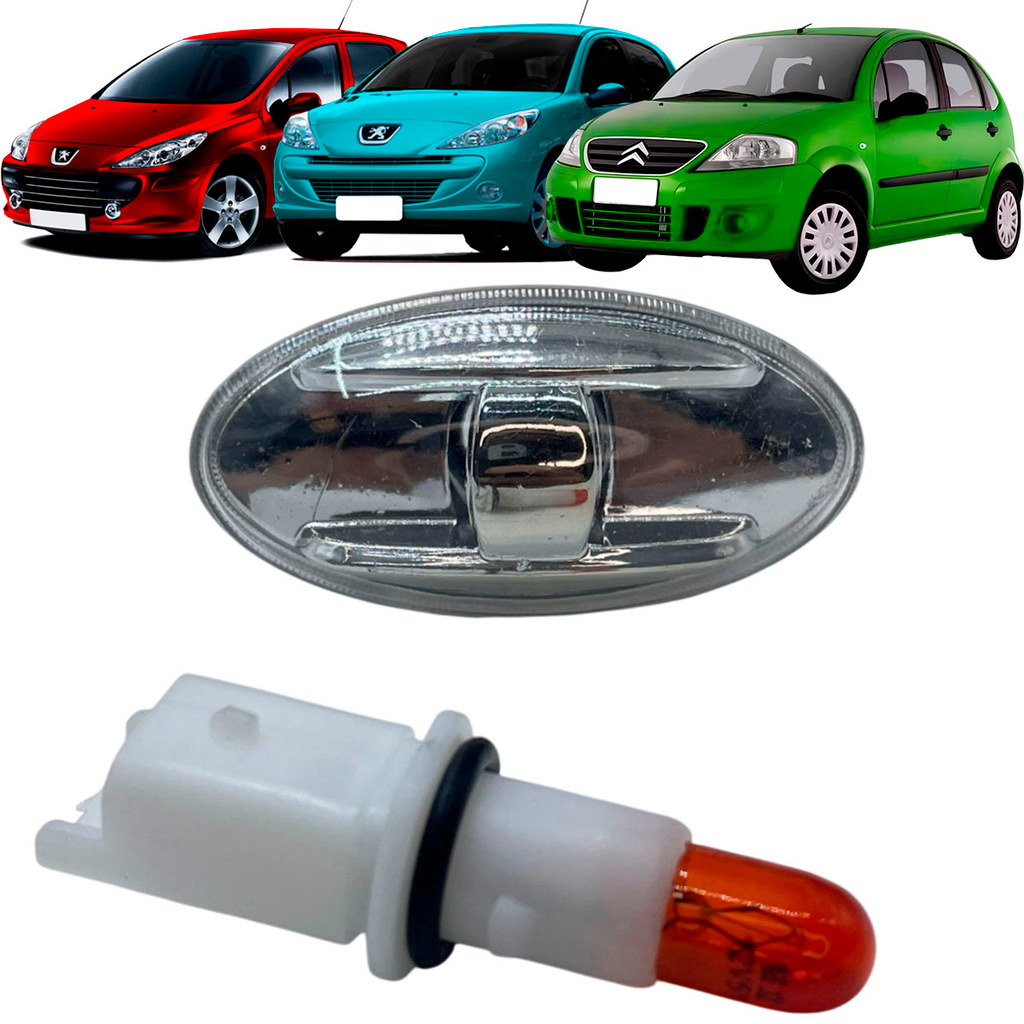 Lanterna Lateral Seta Pisca Paralama Peugeot 206 207 307 C3