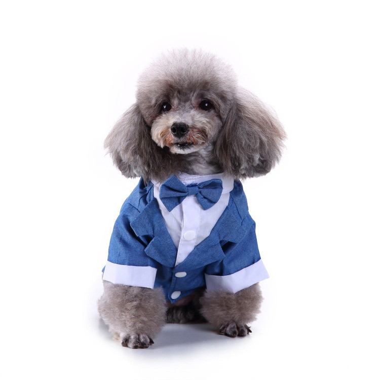 Fato De Noiva Para Cão Tuxedo Listrado Roupas Shih Tzu Macho Com Camisa Bowtie Cat Fashion Pet Traje De Aniversário De C