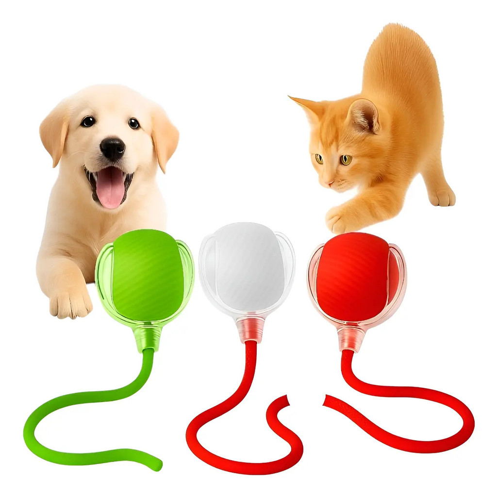 Bola Pet Eletronica Brinquedo Pet Shop Interativo Inteligente para Gato Cachorro Recarregavel Usb