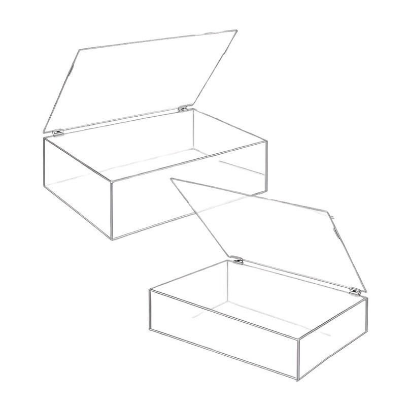 Kit 2 Caixa Acrílica Transparente com Tampa Articulada 20x10x5cm Organizador Porta Objetos Display