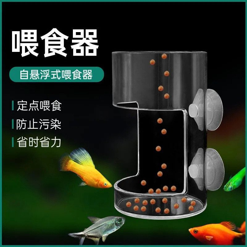 Alimentador de peixes para tanque de peixes, papagaio, anel de alimentação flutuante, anel de alimentação suspenso, alim
