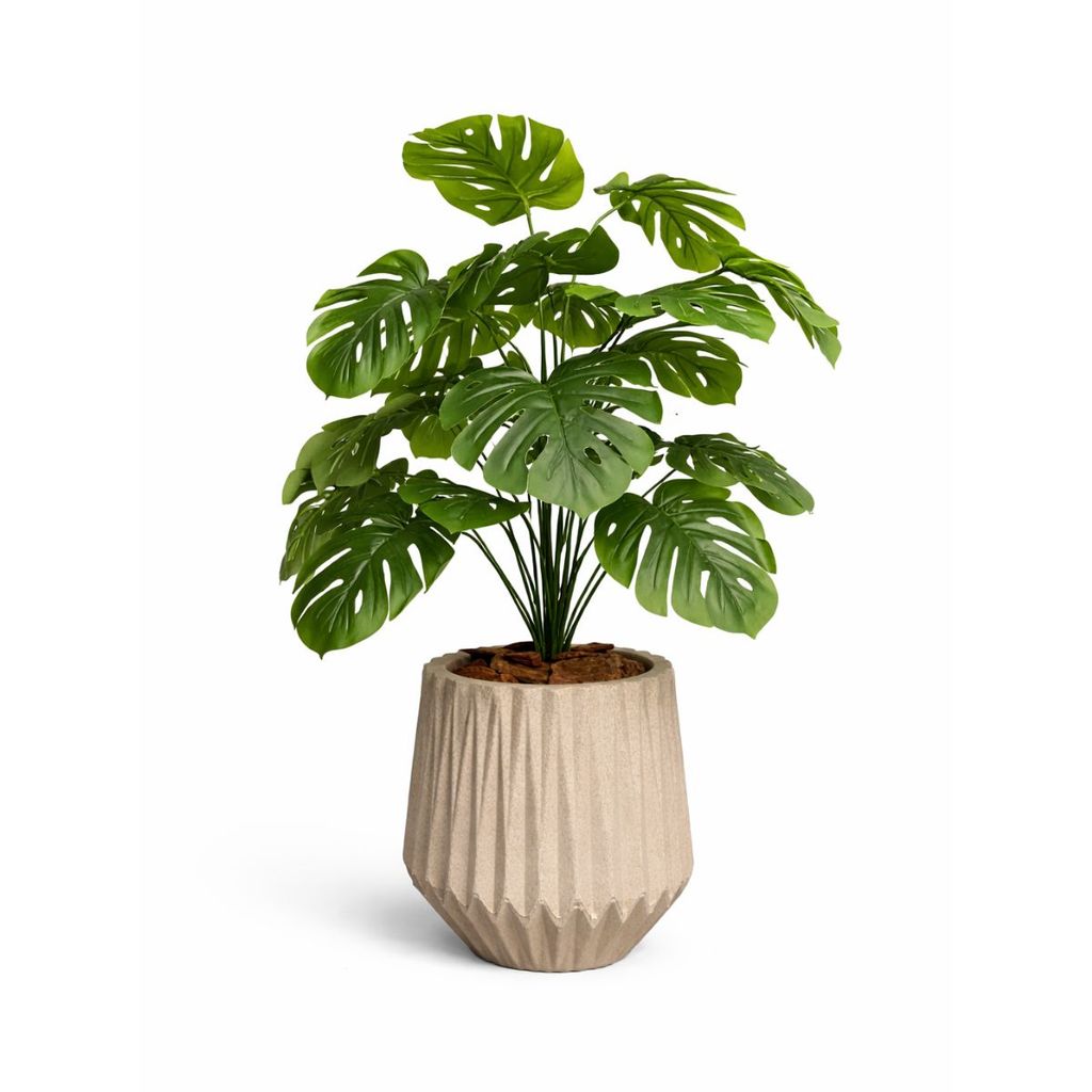 Arranjo Costela de Adão Permanente Vaso Decorativo Moderno