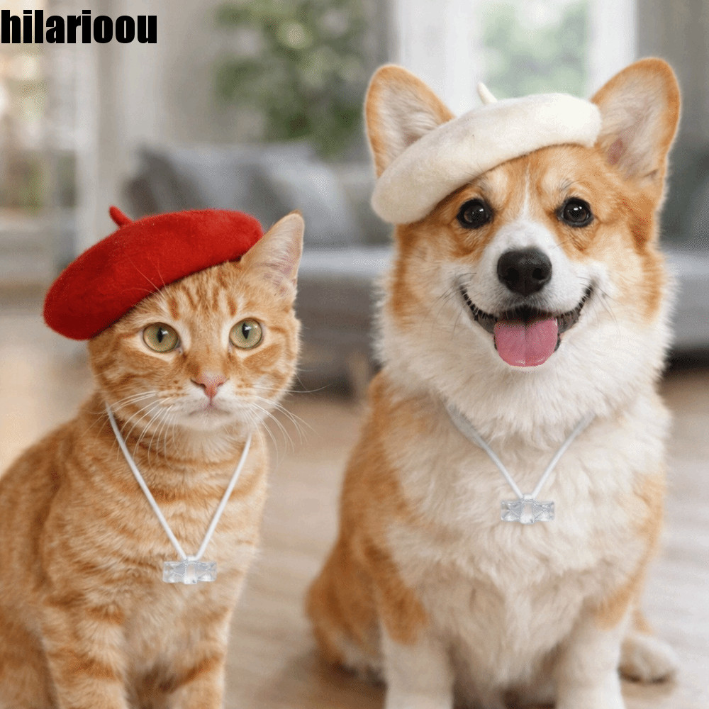 Chapéu De Boina Para Gato HILARIOOU , Adorável , Fofo E Confortável Animais De Estimação , Protetor Solar Ajustável De L