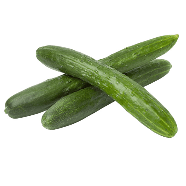 Pepino Japonês Orgânico Sítio Cambara