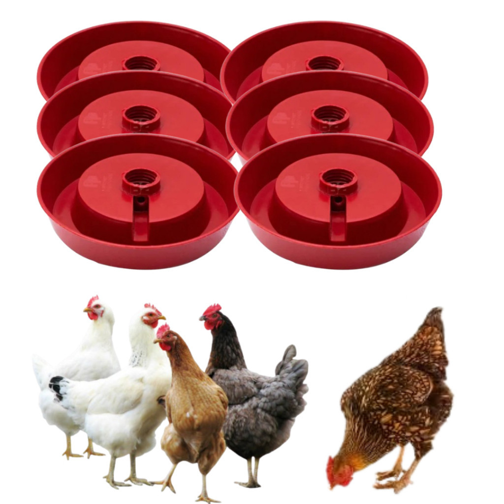 Kit 6 Bases Bebedouro Ave Para Galinha Frango Pato Marreco Pintinho Franquinho Codornas Aves em Geral Galinheiro Granja em Oferta na Shopee