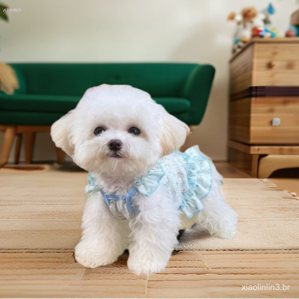 Vestido De Verão Para Cachorro , Saia Floral Fina E Fofa Animais De Estimação , Roupas Térmicas Macias Respirávei