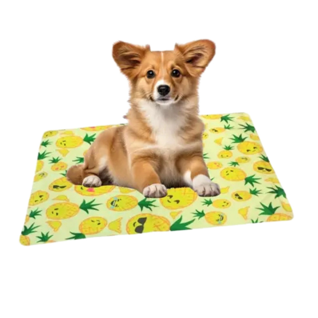 Tapete Gelado Gel Pet Fluffie 40cm50cm