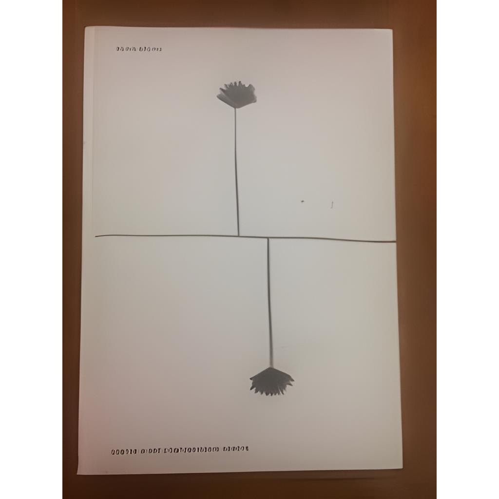 Centre Dart Contemporain Genève autor Silvia Bächli