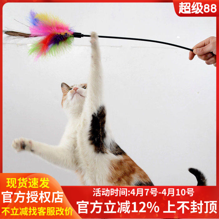 Brinquedos para animais de estimação brinquedos para gatos penas coloridas pendurado sinos gato provocando pólo provocan