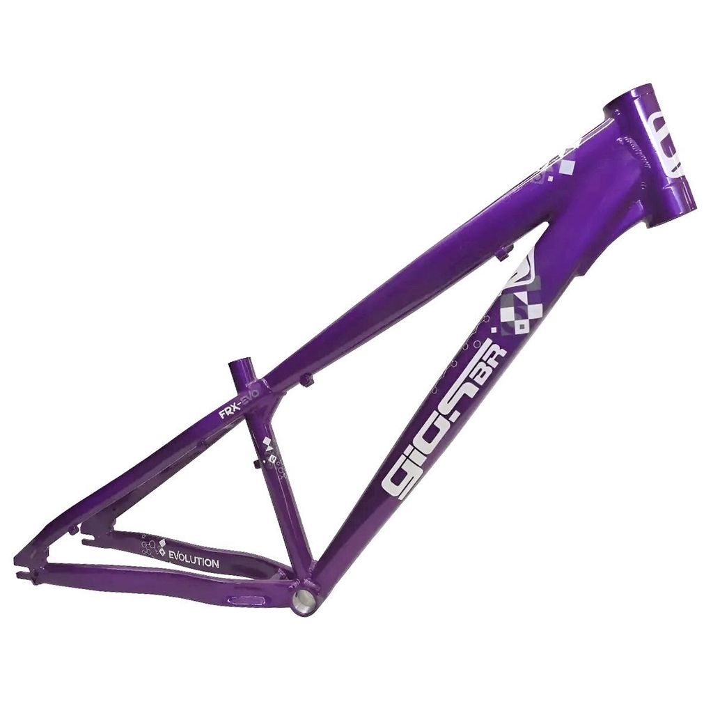 Quadro de Bicicleta Gios FRX Evo Roxo