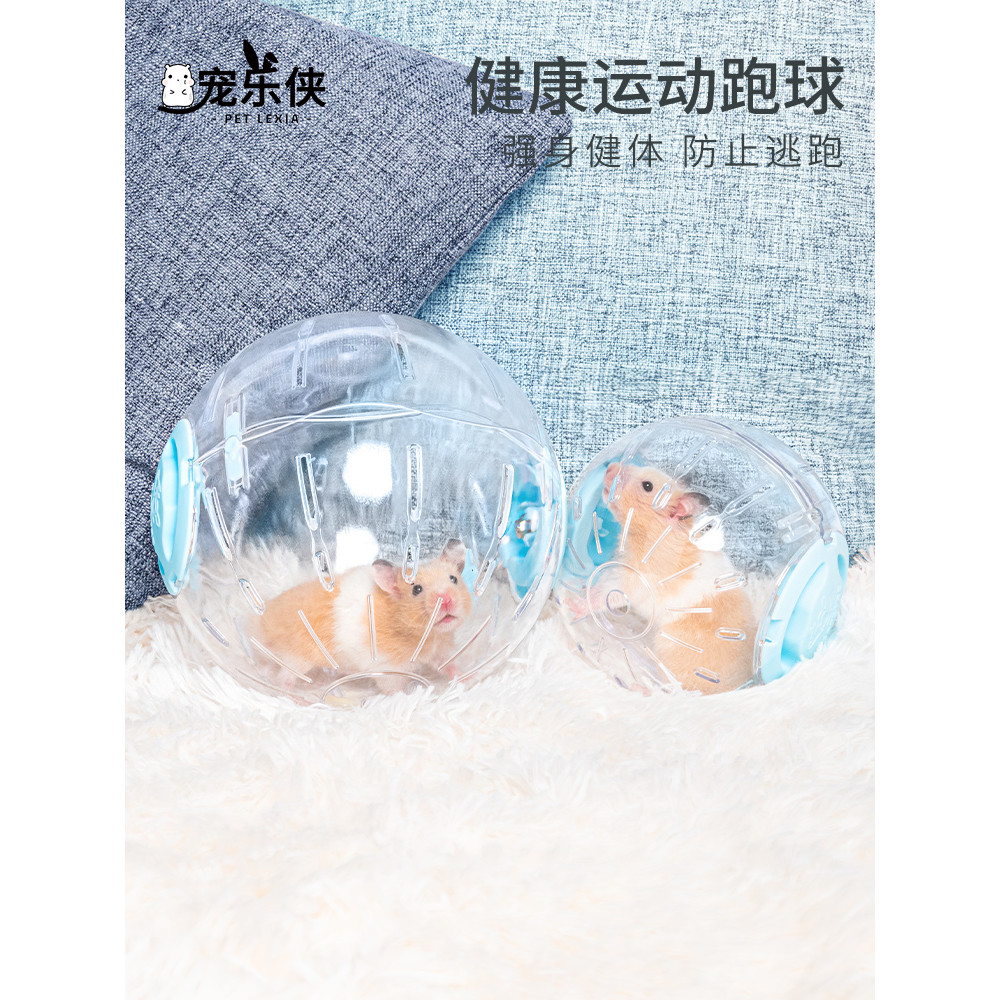 Animal de estimação feliz homem Hamster brinquedo correndo bola correndo roda rolo esportes bola suporte urso dourado es