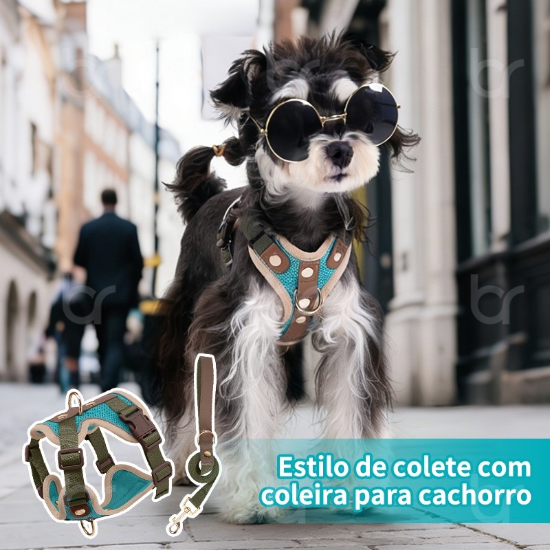 Peitoral Coleira Resistente Para Pet Cão Grande e Médio Porte com Regulagem Colete Reforçado para Passeio Cachorro