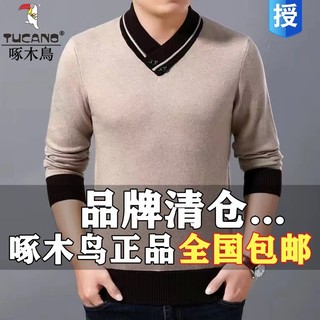 Woodpecker suéter com decote em V meia gola alta suéter masculino jovem camisa de fundo outono inverno Casual Top mascul