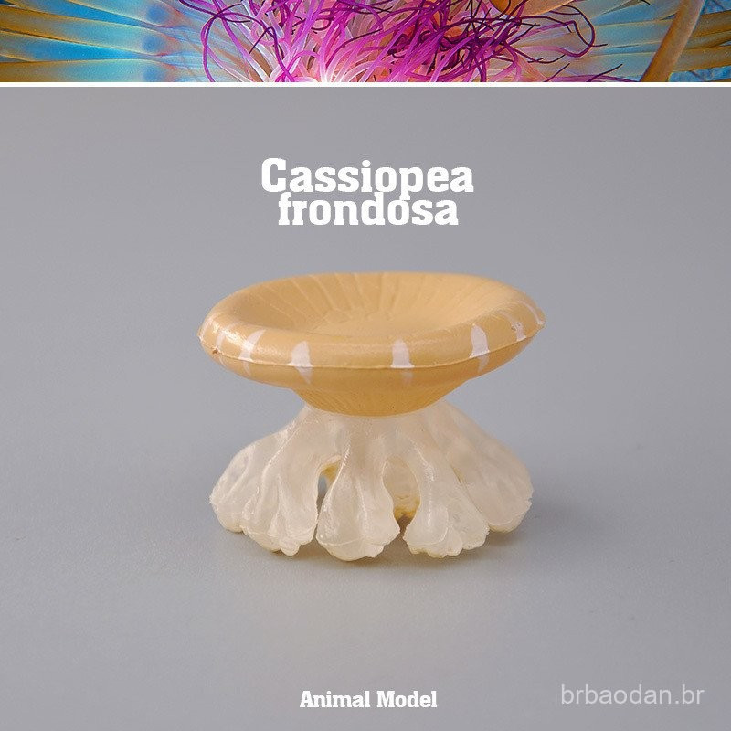 Modelo Animal de Simulação de Pedido Estrangeiro Autêntico, Brinquedo Infantil de Meninos, Roda de Água-viva, Água-viva