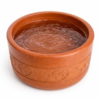 Comedouro e Bebedouro Pet de Barro 3L Ecológico Grande para Cães e Gatos Cerâmica desenho de coração/pata/osso
