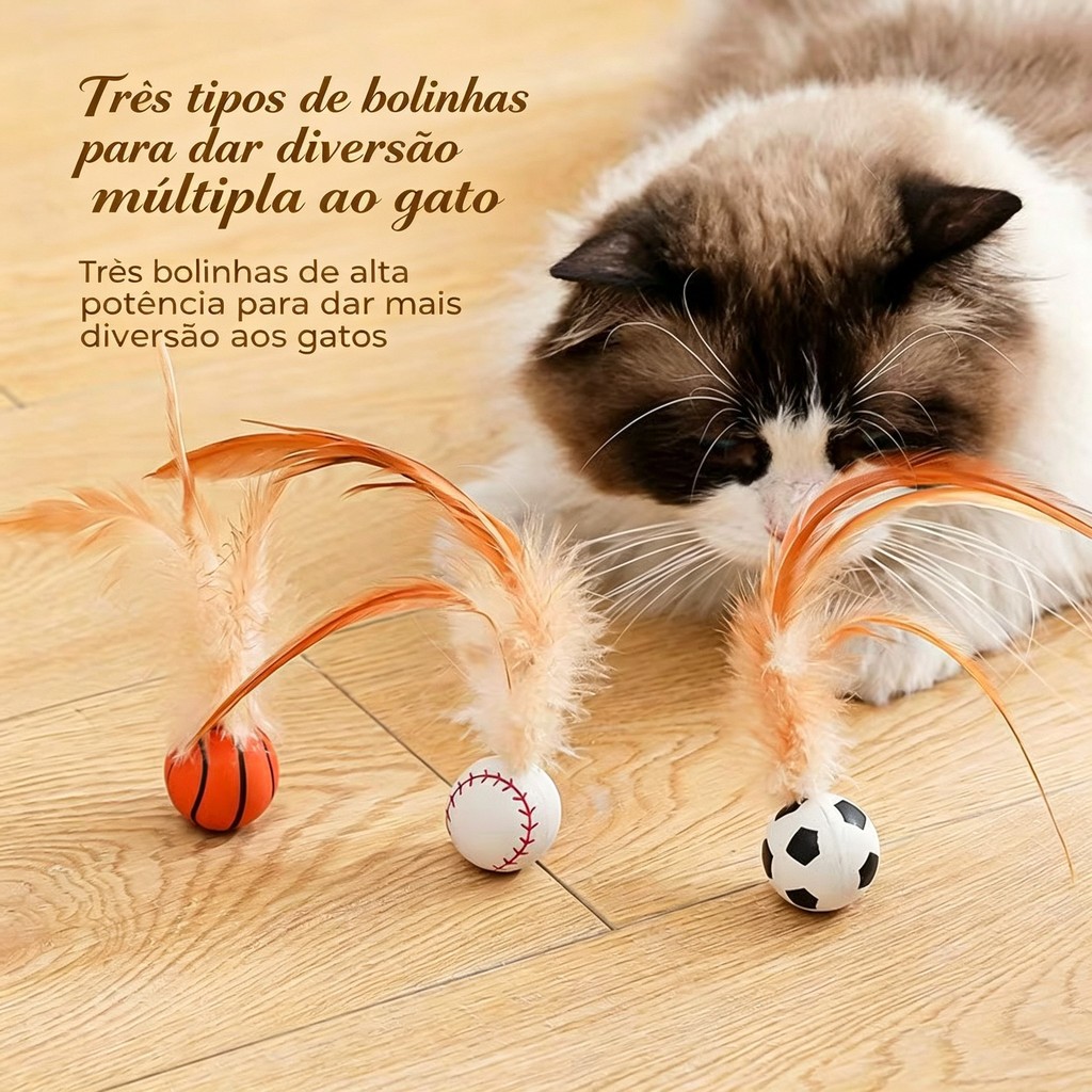 Bolinha pula pula  Brinquedo para gato ping penas Gatinho exclusiva Bola gato penas