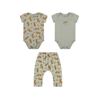 Kit Bebê Menino Bodies Bichinhos Elian Verde em Oferta na Shopee