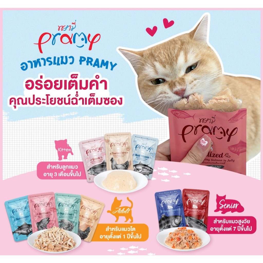 [ยกโหล12ซอง] Pramy อาหารเปียกแมวพรามี่ ส่งทุกวัน(คละรสชาติได้) - ภาพที่ 6