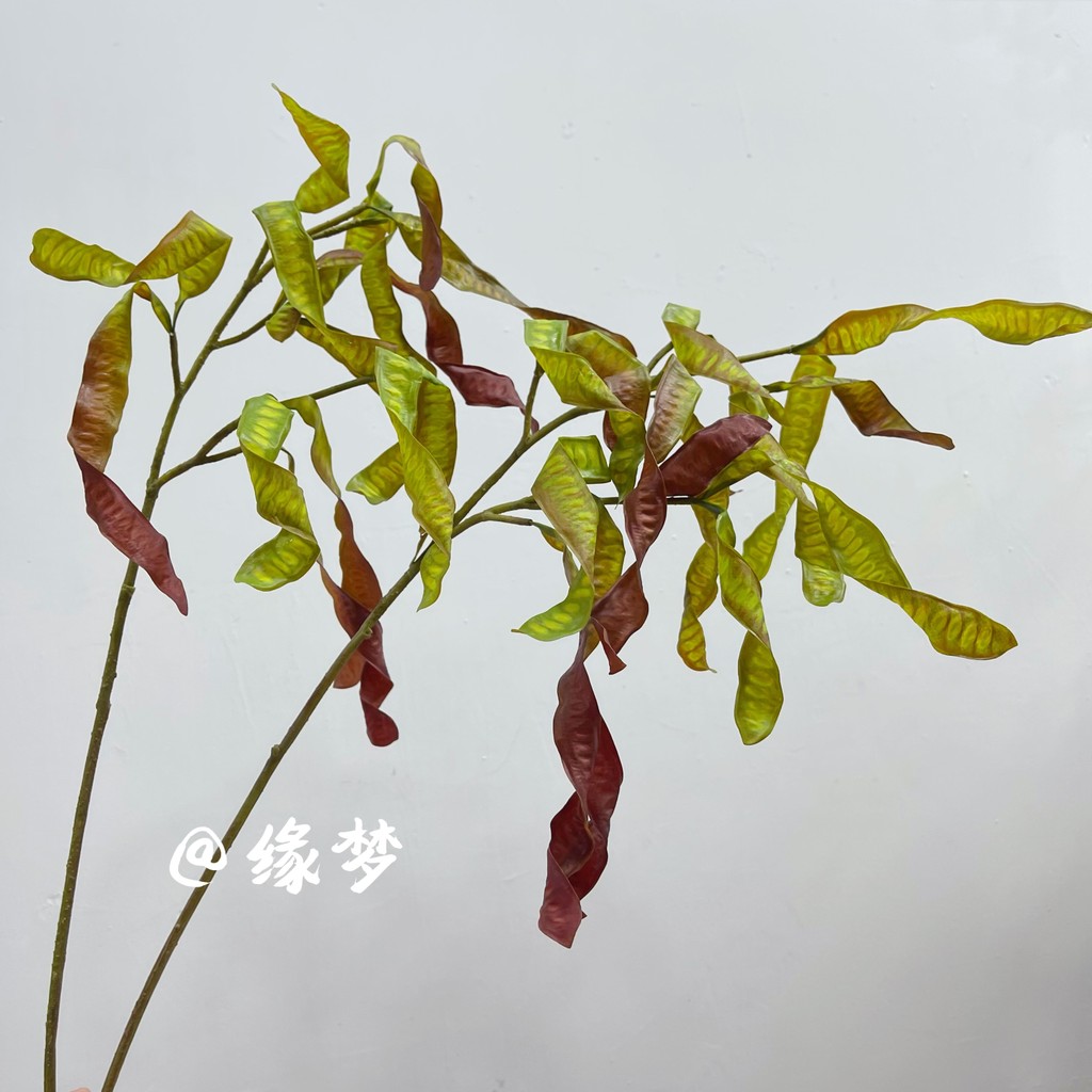 Material de folha de simulação prata acácia arranjo de flores em forma de lentilha ramo único flor falsa fotografia ader