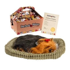 Pelúcia Cachorro Yorkshire Que Respira Perfect Petzzz Original - PP9126B