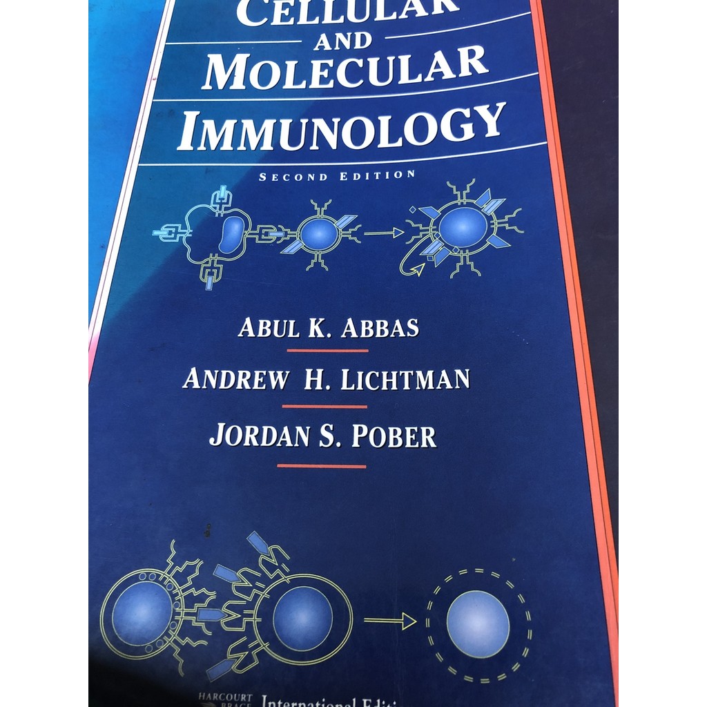 Cellular And Molecular Immunology: International Edition de Abul K. Abbas, Andrew H. Lichtman, Jordan S. Pober 7400634
