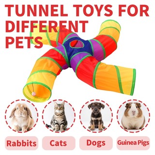 Túnel Labirinto Para Gatos Interativo Brinquedo Pet 4 Vias