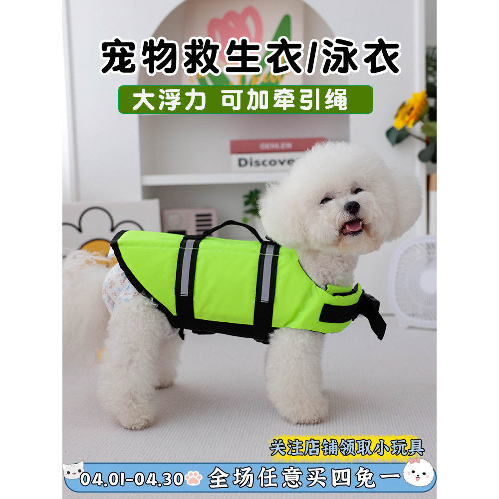 Maiô para cachorro Teddy Bichon Francês Fighting Corgi Colete salva-vidas Verão Jogo aquático Dedicado Maiô para cães pe