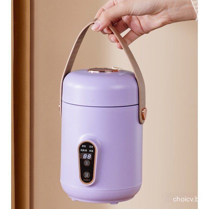 Panela de arroz 220V/110V, panela para mingau, panela multifuncional, fogão elétrico portátil, utensílios de cozinha dom