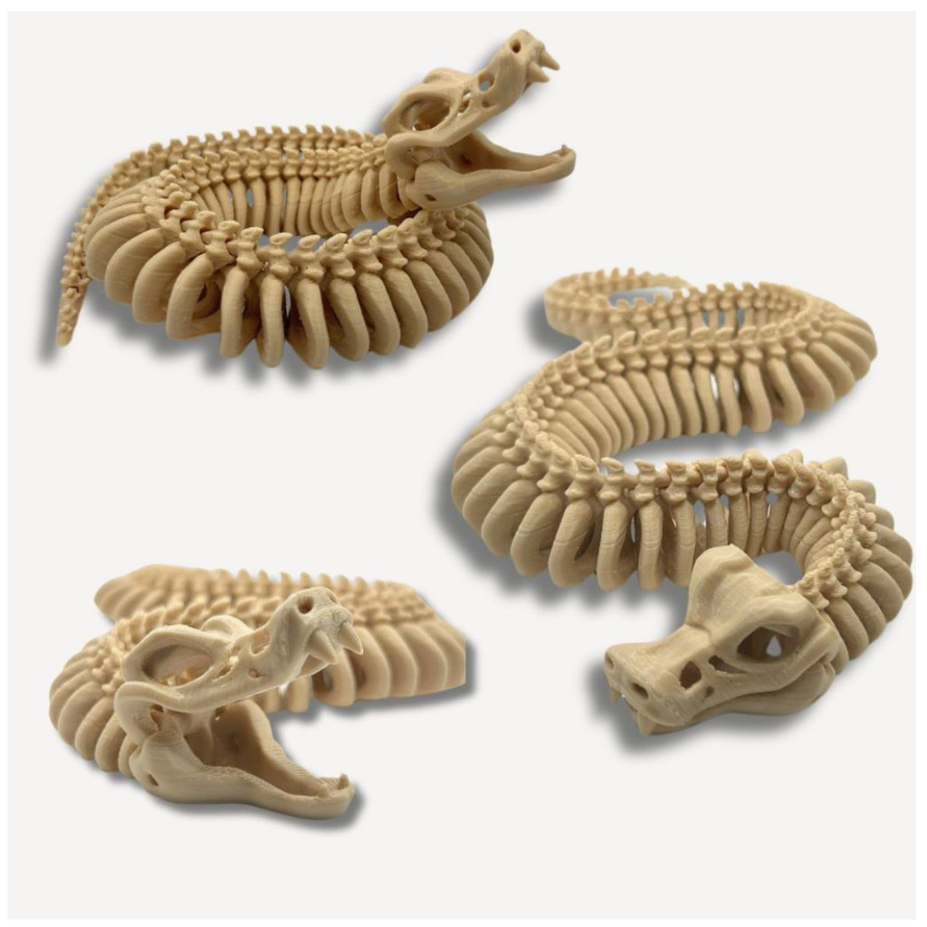Cobra Esqueleto Articulada Naja – Réplica Anatômica Flexível, Brinquedo Sensorial